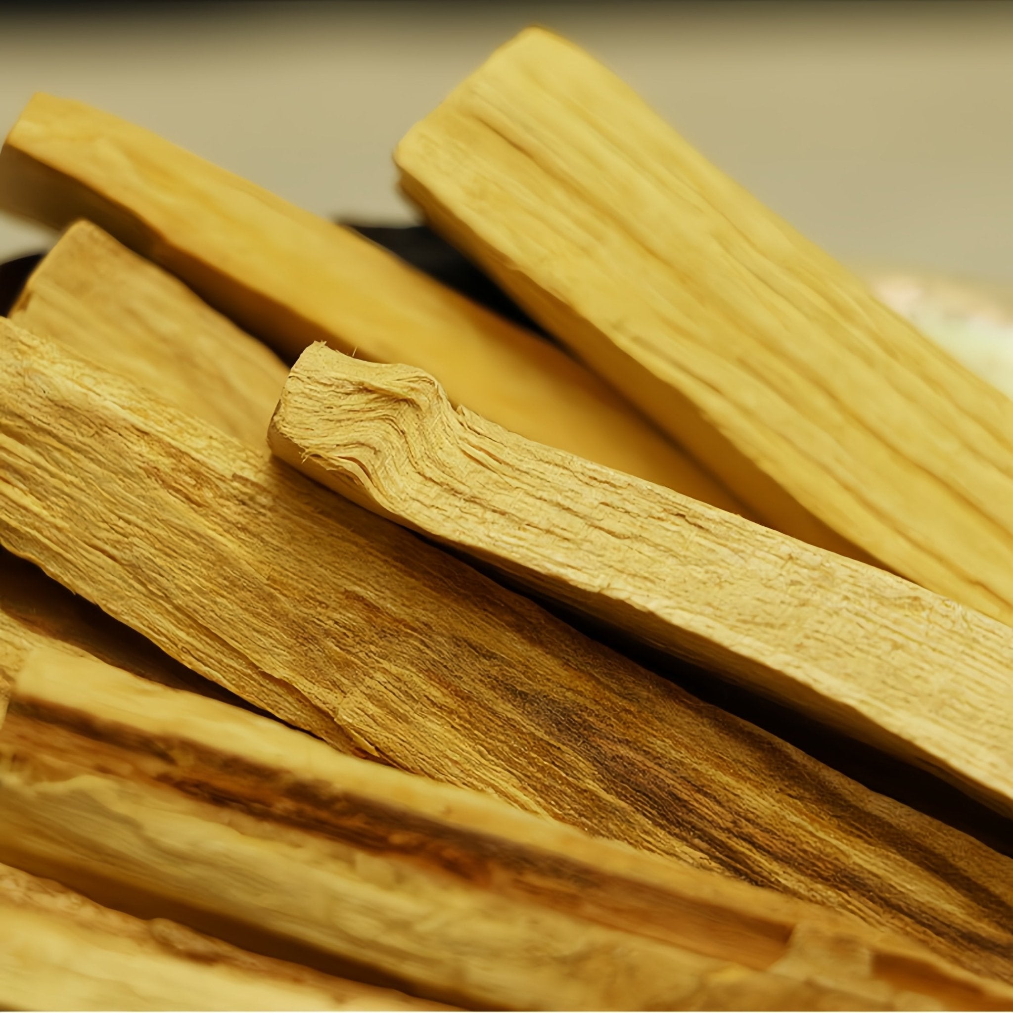 Close-up photo of the details of Palo Santo wood.